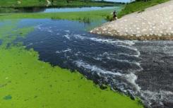 污水处理中除磷药剂有什么作用