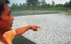 生活污水的危害细数一二