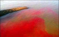 印染废水怎样处理最合适