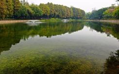 农村污水治理需要全员“火力全开”