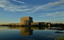 绿色校园也有“灰色地带”