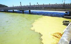 北京丰台污水处理管理所被挂牌督办